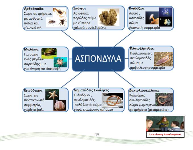 Στη Δραστηριότητα 2.6.