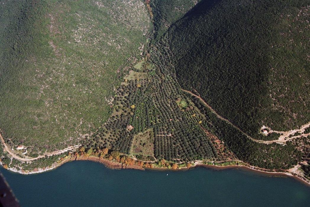 Η δημιουργία της λίμνης ήταν αποτέλεσμα μεγάλων γεωλογικών ανακατατάξεων. Η Τριχωνίδα είναι υπόλειμμα παλαιότερης και μεγαλύτερης λίμνης που καταλάμβανε προϊστορικά ολόκληρη τη λεκάνη Αγρινίου.