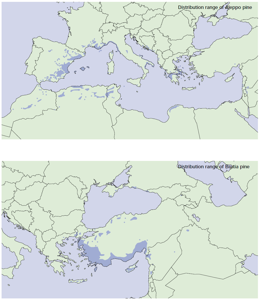 Πξφηππν γεσγξαθηθήο θαηαλνκήο ηεο ραιεπίνπ πεχθεο (Pinus