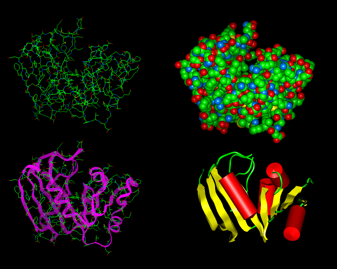 ΜΕΛΕΤΗ ΔΟΜΗΣ ΠΡΩΤΕΪΝΩΝ ΜΕ ΤΗ ΒΟΗΘΕΙΑ ΤΟΥ CD Οι πρωτεΐνες έχουν μοναδικές διαμορφώσεις που αποτελούνται από α-έλικες και β-πτυχωτές επιφάνειες.