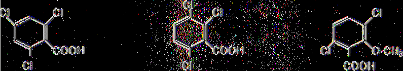 1. Ομάδα των Ινδολικών Οξέων (Indole acids): Σ αυτήν ανήκουν δύο πολύ γνωστές συνθετικές αυξίνες, το ινδολοπροπιονικό οξύ και το ινδολοβουτυρικό οξύ (IBA).