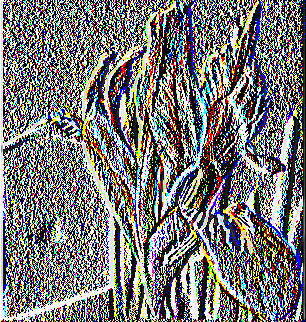 Εικόνα 9: Άνθος Ίριδας Πολλαπλασιασμός Ίριδας Οι ίριδες πολλαπλασιάζονται με βολβούς και βολβίδια ή με διαίρεση της τούφας του ριζώματος τους κάθε 4 χρόνια. Μπορούν να πολλαπλασιαστούν και με σπόρο.