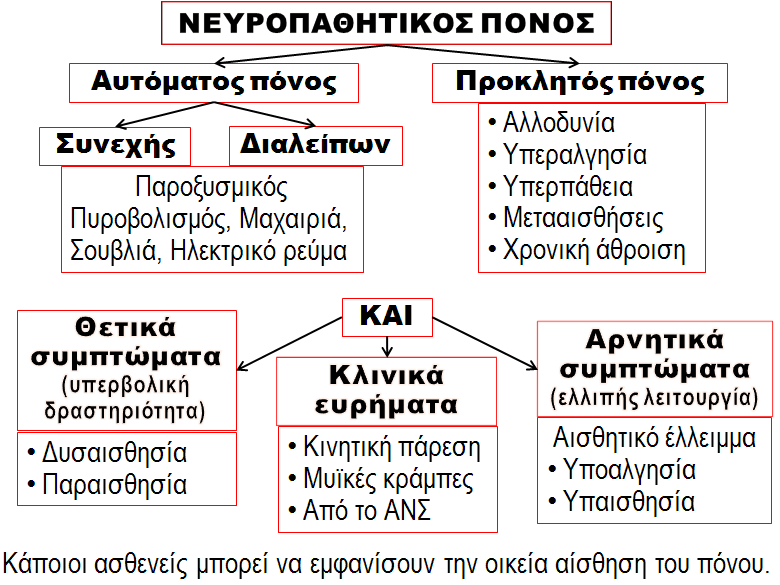 Προσφάτως, έχει προταθεί ένα διαβαθμισμένο σύστημα αναγνώρισης του ΝΠ-Πόνου: οριστικός (definite), πιθανός (probable) και δυνητικός (possible) ΝΠ-Πόνος (εικόνα 3). Εικόνα 3.