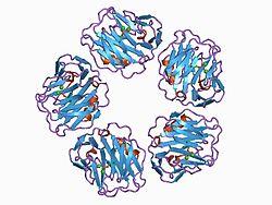 Η CRP είναι πρωτεΐνη (β-σφαιρίνη) που ανήκει στην οικογένεια των πεντραξινών και αποτελείται από 5 υπομονάδες