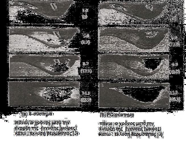 ΡG-σύστημα. Παρόλα αυτά, η ταχύτητα του S-συστήματος έφτασε την ταχύτητα του ΡG-συστήματος όταν χρησιμοποιούνταν πλουσιότερα μείγματα.