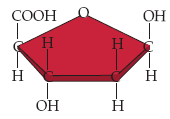 Κάθε Νουκλεοτίδιο αποτελείται από: Φωσφορική ομάδα (P) Σάκχαρο Αζωτούχα βάση