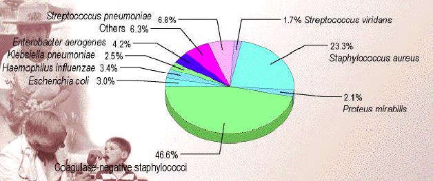 Χρόνια ρινοκολπίτιδα: Συνήθη παθογόνα Οι μικροοργανισμοί που επικρατούν είναι οι σταφυλόκοκκοι και τα Gram(-) Ο S.