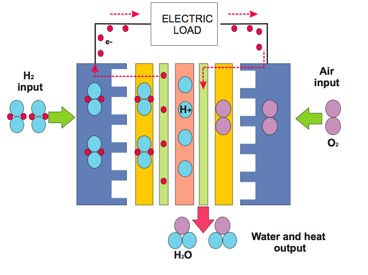 Εικ.1.2 Αρχή λειτουργίας κυψέλης καυσίμου τύπου PEM [2] Η πλευρά της κυψέλης από όπου εισέρχεται το υδρογόνο θεωρείται αρνητική και ονομάζεται άνοδος.