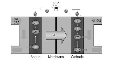 4. Αλάιπζε ηεο θπςέιεο θαπζίκνπ κεκβξάλεο αληαιιαγήο πξσηνλίσλ (PEMFC) ε απηφ ην θεθάιαην ζα αλαιπζεί ε θπςέιε θαπζίκνπ ηχπνπ κεκβξάλεο αληαιιαγήο πξσηνλίσλ.