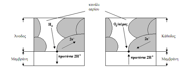 Σρήκα (4.