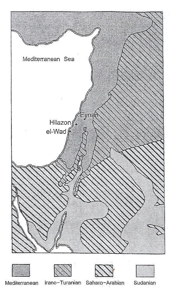 Χάρτης 2. Οι φυτογενείς ζώνες του Μεσογειακού Levant. Πηγή: Rosen A. M. 2010, αριθμ. σχεδίου 1, σελ. 114 Χάρτης 3.