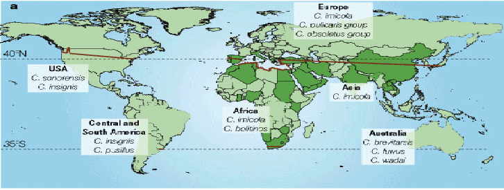 2.3.2 Γεωγραφική κατανομή Η γεωγραφική κατανομή της νόσου μέχρι το 2006 είχε περιοριστεί σε γεωγραφικά πλάτη μεταξύ των παραλλήλων 35 0 S ΚΑΙ 40 0 Ν, χώρες με τροπικό η εύκρατο κλίμα,κατάλληλο για