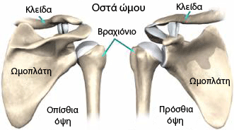 Εξάρθρωση