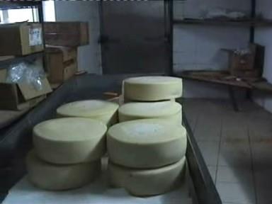 : Το τυρί Επισκεφτήκαμε ένα απ αυτά και θα δείτε από τον τυροκόμο