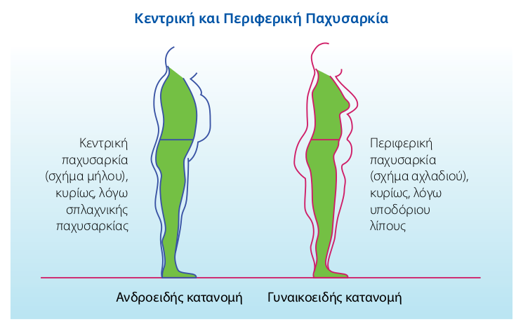 Στον Πίνακα 3.3 παρουσιάζονται οι πιο συνηθισμένοι φαινότυποι που χρησιμοποιούνται για τον προσδιορισμό της παχυσαρκίας στον ερευνητικό τομέα πέρα από αυτούς που αναφέρθηκαν παραπάνω.