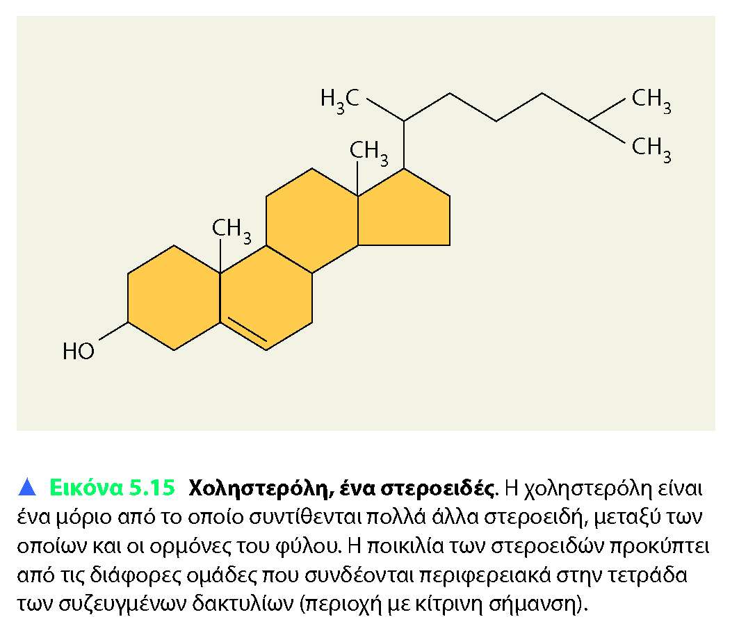 Στεροειδή