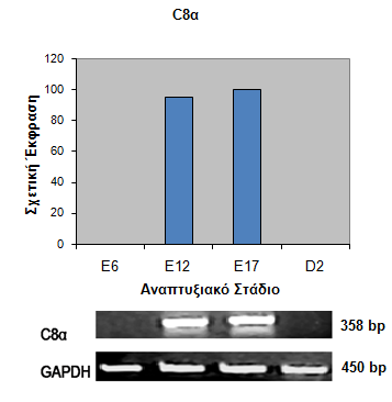 103 Δηθόλα 3.19: Ζιεθηξνθφξεζε πξντφλησλ RT-PCR αληηδξάζεσλ γηα ην γνλίδην C8α ζε πήθησκα αγαξφδεο 1.