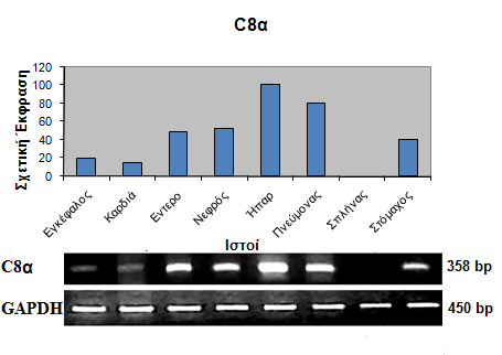 98 Δηθόλα 3.14: Ζιεθηξνθφξεζε πξντφλησλ RT-PCR αληηδξάζεσλ γηα ην γνλίδην C8α ζε πήθησκα αγαξφδεο 1.