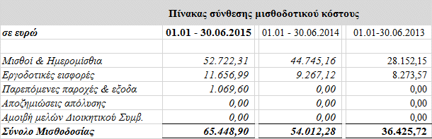 4. Οικονομικές Πληροφορίες κατά τομέα Η ΙΝVESTMENT ANALYSIS ΑΕΠΕΥ δραστηριοποιείται κυρίως σε υπηρεσίες επενδυτικών υπηρεσιών.