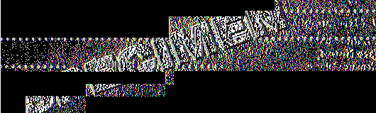 STRICTLY CONFIDENTIAL Application No: [For internal IAAF use only] IAAF Therapeutic Use Exemptions Abbreviated Application Form [International] [Beta-2 agonists by inhalation, Glucocorticosteroids by