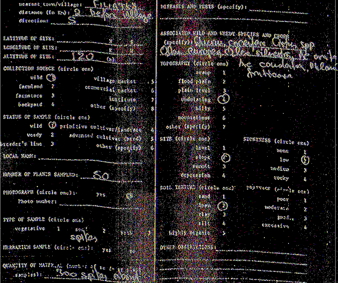 . - V -- COLLECTION FORM fc7.sz?m) S\W ^ AccuseMo - 0 io>3.-illed ia D e s c r ip to r s in th is cclurr.