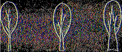 4.2.26 Leaf bloom 0 Absent, glossy 3 Low 5 Intermediate 7 High, glaucous 4.2.27 Petiole and/ or mid vein enlargement See Fig.