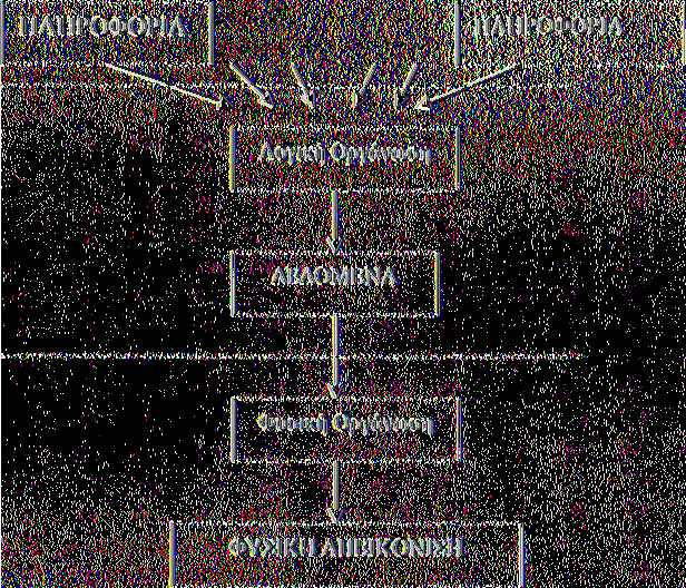 ΚΕΦΑΛΑΙΟ 3- ΣΥΣΤΗΜΑΤΑ ΥΠΟΣΤΗΡΙΞΗΣ ΑΠΟΦΑΣΕΩΝ 32 ΣΧΗΜΑ 3.4 ΑΡΧΙΤΕΚΤΟΝΙΚΗ Σ.Δ.Β.Δ. Οι 7ϋΐο συχνά χρησιμοποιούμενες δομές είναι οι ακόλουθες: Η ιεραρχική δομή (hierarchical). Η σχεσιακή δομή (relational).