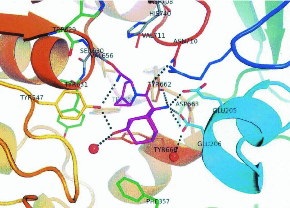 Διπεπτιδυλική Πεπτιδάση-4 (DPP-4) Πεπτιδικά Τποστρώματα DPP-4 DPP-4 active site with