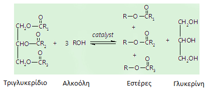 εστέρας, επομένως τρία μόρια εστέρων παράγονται από κάθε TG (Sharma et al., 2008).