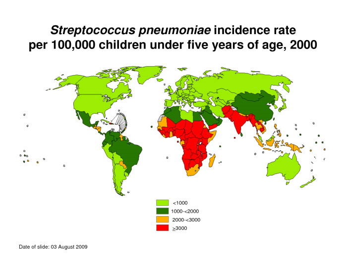 Εικόνα 10: Συχνότητα κρουσμάτων S. pneumoniae σε παιδιά κάτω των πέντε ετών. Πηγή: http://www.docstoc.com ΚΕΦΑΛΑΙΟ ΙV ΠΕΙΡΑΜΑΤΙΚΟ ΜΕΡΟΣ 4.1. ΣΤΟΧΟΣ ΠΕΙΡΑΜΑΤΙΚΗΣ ΕΡΕΥΝΑΣ Στόχος του πειράματος ήταν η εξέταση της αντιμικροβιακής δράσης των αιθέριων ελαίων των φυτών: σε έξη στελέχη του Streptococcus pneumoniae.