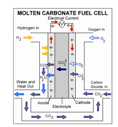 1.2.3. Κπςειίδεο Καπζίκνπ Τεγκέλσλ Αλζξαθηθώλ Αιάησλ (Molten Carbonate Fuel Cells, MCFC) Ο ειεθηξνιχηεο απηψλ ησλ θπςειίδσλ είλαη έλα αλζξαθηθφ άιαο ησλ αιθαιφ-κεηάιισλ (π.ρ.