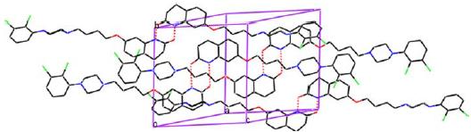 Σχήμα 9.19: Η κρυσταλλική δομή της Αριπιπραζόλης μέσω των δι-αμιδο διμερών συγκροτημάτων. Οι δεσμοί υδρογόνου Ν3-Η Ο2=C υποδεικνύονται με κόκκινες διακεκομμένες γραμμές.