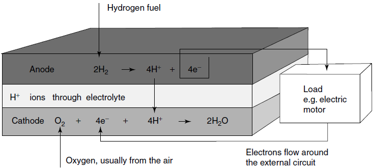 πρωτονίων, καθώς τα θετικά ιόντα του υδρογόνου είναι πρωτόνια.
