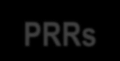 ΕΙΔΙΚΟΤΗΤΑ ΣΥΝΔΕΣΗΣ PRRs TLR2 πεπτιδογλυκάνη TLR4 LPS TLR3 λιπιδικό φάκελο ιών TLR9