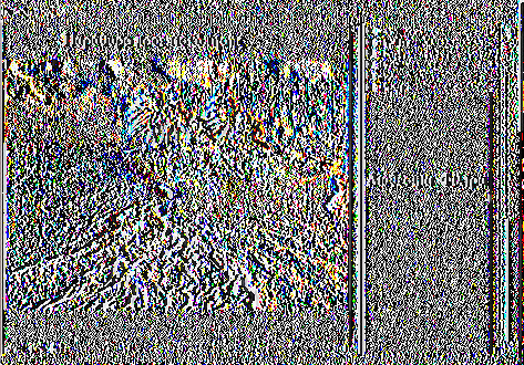 Filter Analysis 3D View Window Motion Blur Ctrl+F Εικόνα 6.