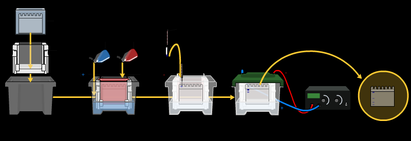 β) Διαχωρισμός των πρωτεϊνών με ηλεκτροφόρηση σε γέλη πολυακρυλαμίδης παρουσία SDS κατά Laemmli (SDS PAGE ηλεκτροφόρηση).