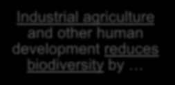 Industrial Agriculture and Biodiversity Paleolithic record shows background species loss of one to two species per year Clearing land for agriculture (or houses) Industrial agriculture and other