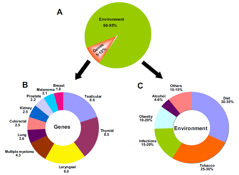 The role of genes and environment in the development of cancer Anand P,