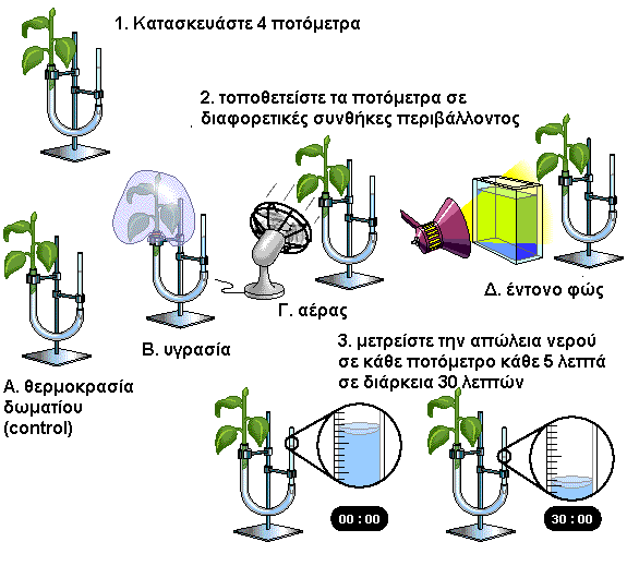 Δραστηριότητα 3_ΒΗΜΑ 3 Επίδραση παραγόντων του περιβάλλοντος στη διαπνοή των φυτών