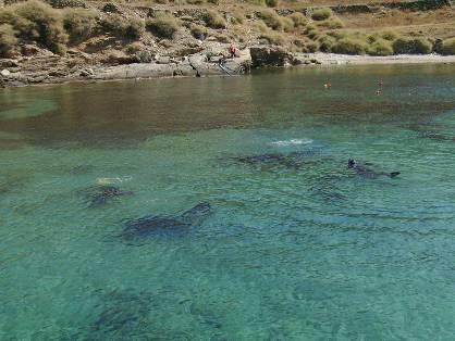 ΑΝΑΣΚΑΦΗ