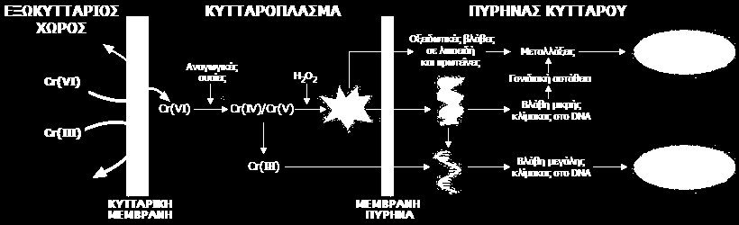 Εισαγωγή Εικόνα 1.