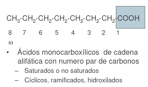 En resumen las clasificaciones de los lípidos pueden ser: Propiedades físicas Aceites Grasas Polaridad polar lípidos neutros Esenciales para humanos ácidos grasos esenciales ácidos grasos no