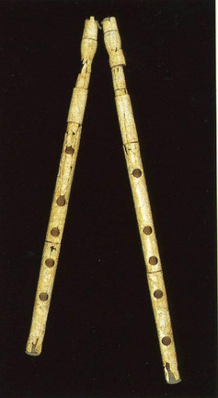 Αυλός Ο αυλός ήταν πνευστό μουσικό όργανο της Ελληνικής αρχαιότητας.