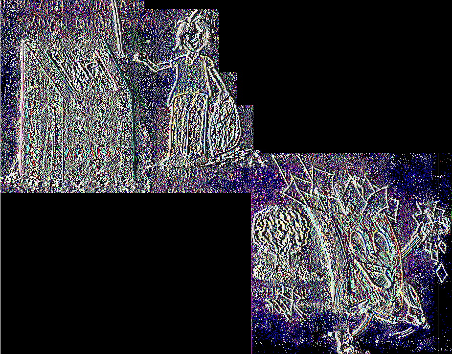 Ε φ η μ ε ρ ί δ ε ς υ ε ιρ ά δ ι a, ρ ιιυ λ ίγ μ α υ ο ί.