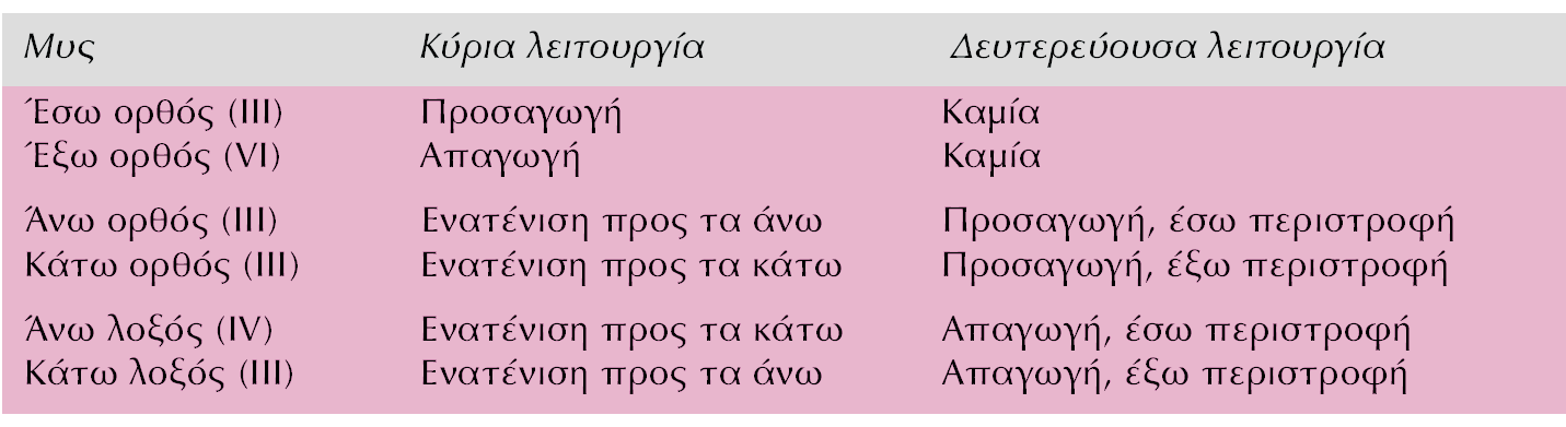 ΟΡΔΡΓΓΖΟ ΜΦΘΑΘΙΖΗΓΟ ΗΖΚΕΟΓΖΟ 6 μοξ 3 ζομπιενςμαηηθά ή