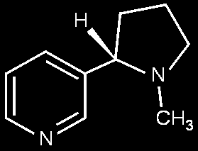 Σν ρεκηθφ ζχκβνιν ηεο ληθνηίλεο Νηθνηίλε(S)-3-(1-κεζπιν-2-ππξξνιηδηλπιν)ππξηδίλε Nicotine(S)-3-(1-methyl-2-pyrrolidine)pyridine Η δξάζε ηεο ληθνηίλεο Η κζημηίκδ είκαζ ημ εεζζηζηυ