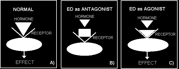 ρήκα 2.1. Γζαδζηαζίεξ μνιμκζηχκ δζαηαναπχκ: (α) Φοζζηή ακηίδναζδ, (α) Ακηαβςκζζηζηή επίδναζδ, (β) Αβςκζζηζηή επίδναζδ.