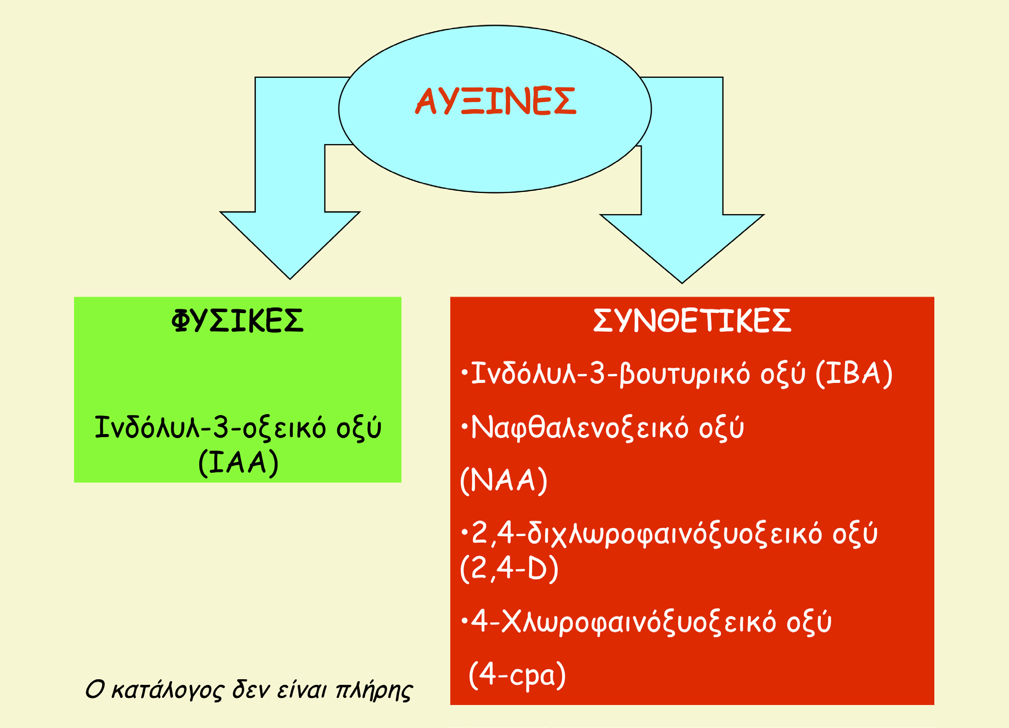 2,4-διχλωροφαινοξικό οξύ (2,4-D).Το ΙΒΑ προστίθεται σε ποσότητες 1-10 mg/l, ενώ το ΝΑΑ και το 2,4-D σε μικρές ποσότητες 0,01-1 mg/l. Στα σιτηρά το 2,4-D περιέχεται σε μεγαλύτερη ποσότητα 1-5 mg/l.