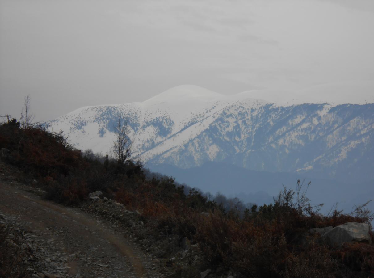 θνξπθή Άγηνο Αληώληνο (2.815m), παξέρνληαο κηα ζεηξά από ελδηαθέξνληα ζηνηρεία γηα ην θιίκα ηνπ βνπλνύ. Ζ κέζε ζεξκνθξαζία είλαη -5 C ην ρεηκώλα θαη 10 C ην θαινθαίξη.
