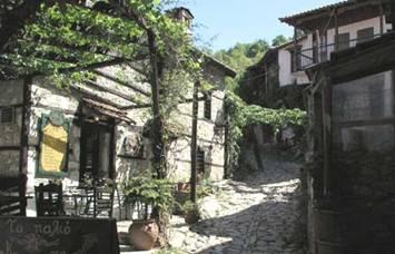 κπξσδηέο θαη πξνζεγκέλνη μελώλεο καξηπξνύλ ηελ ηνπξηζηηθή θίλεζε πνπ γλσξίδεη ην ρσξηό ηα ηειεπηαία ρξόληα.